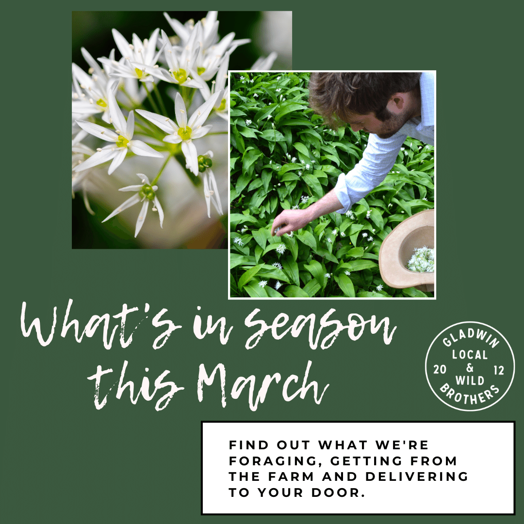 March Foraging and Produce from The Store Journal
